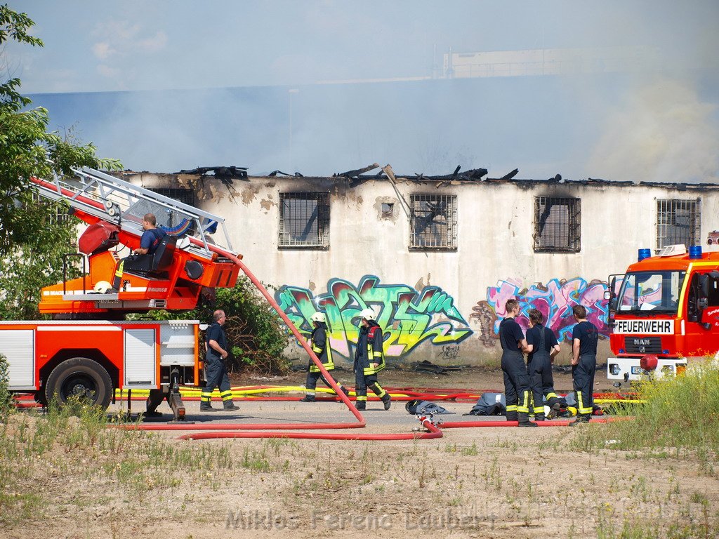 Feuer Koeln Ossendorf Butzweiler Hof neben IKEA P179.JPG